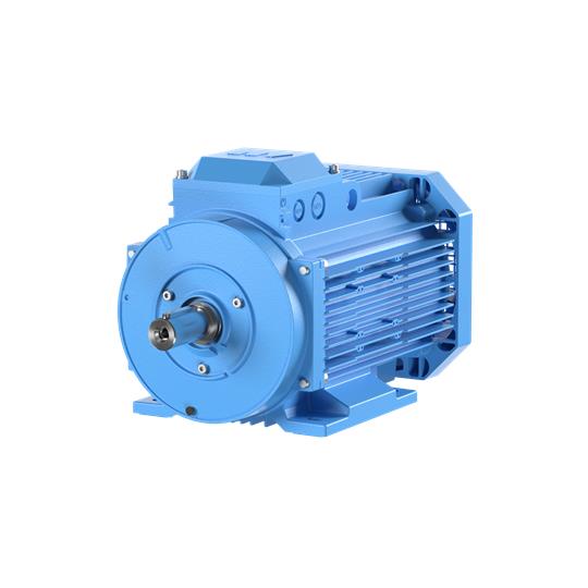 Elektromotor LV IEC 3GAA102530-BSE