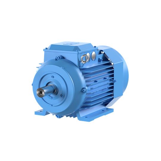 Elektromotor LV IEC M3BP 132SME 2